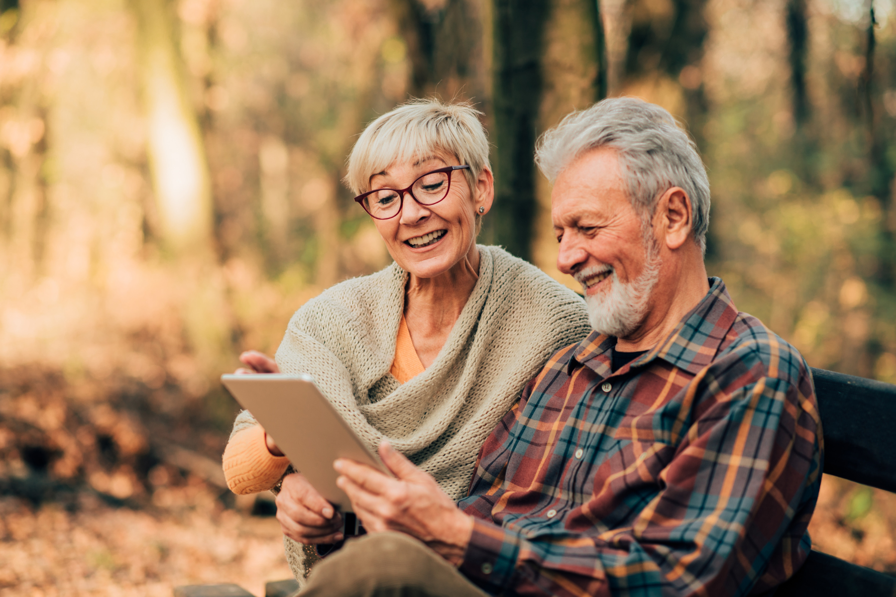 healthy seniors training their focus and memory