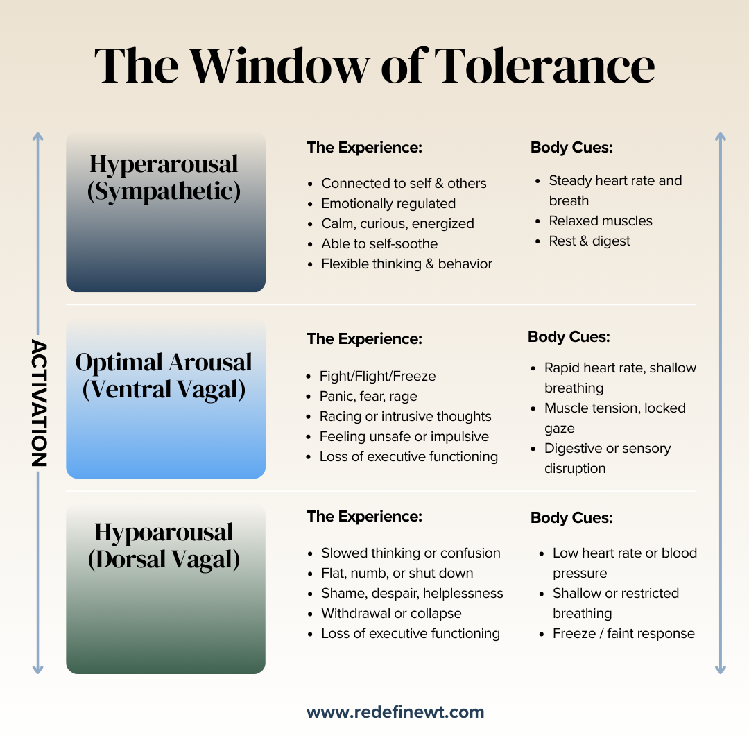 the window of tolerance trauma infographics